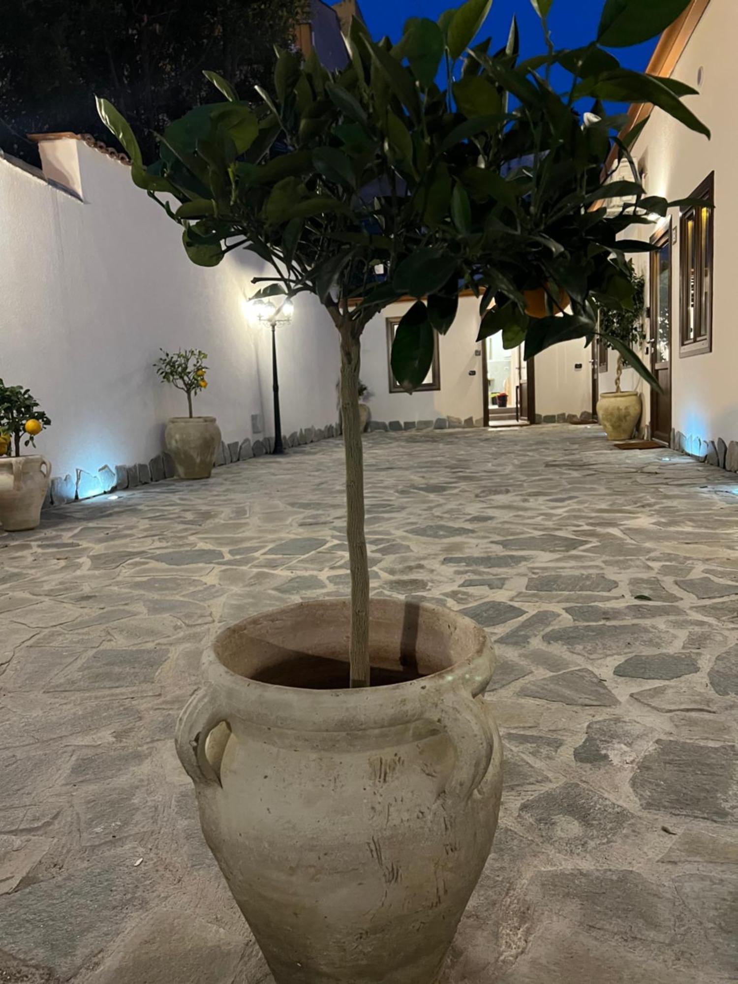 Cedros Διαμέρισμα Παλέρμο Εξωτερικό φωτογραφία